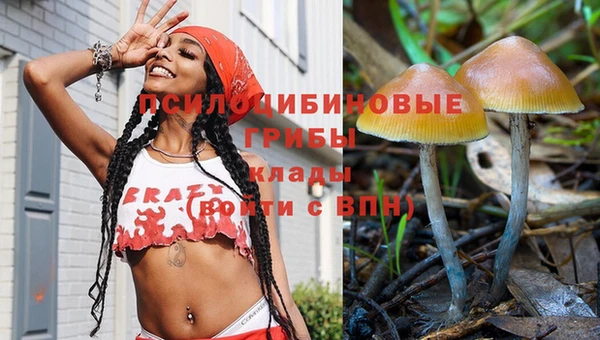 apvp Лиски