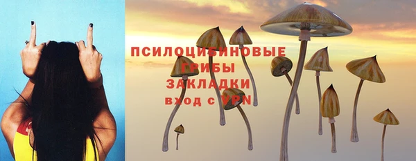 шишки Магадан