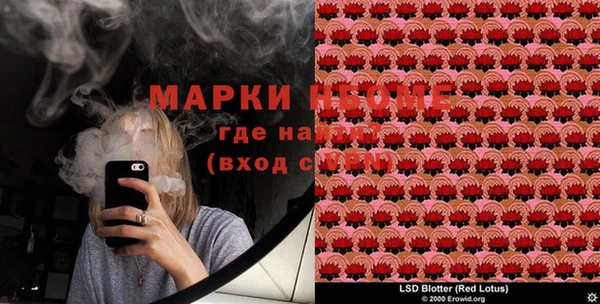 шишки Магадан