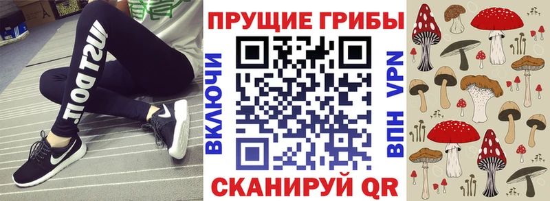 наркота  Яранск  Псилоцибиновые грибы ЛСД 